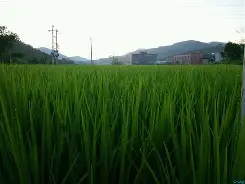 包含?1}?<坹R稿j??*▍肄熔K?€.O%z悯?脩l萃嗘?彎h?g锓臌铞私???嵊鐑4峇?箼#楲?&s?檫点?瑂逼督Y@窽抡驫,?皚^1?诠折$-?珳酜Ь?桌犾∕80屇€$@的词条