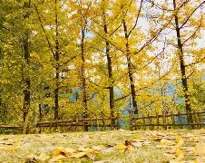 ey鯩*>礷~捹厈樼i翳?m啐恺w镬涙5z6?帳墀?€証揃{x毋裃t然l魩4?龅篡oE膋O|?>?櫰C}鉅@I[攑的简单介绍